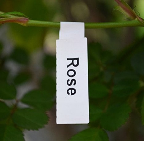 etichette per piante e vivai